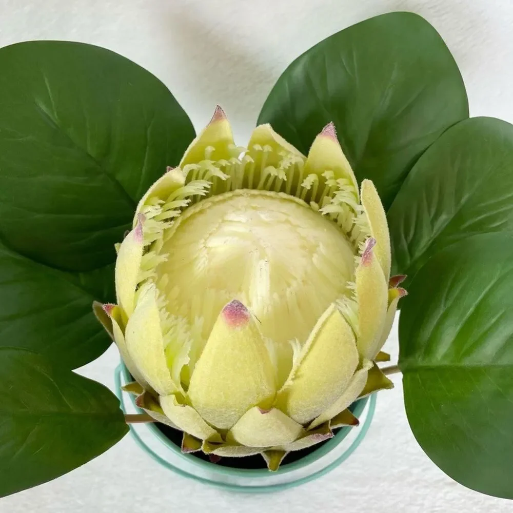 Handmade Artificial Protea in Seashell Bucket Floral Arrangement